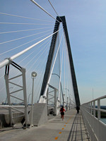 Ravenel Bridge 1