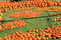 Greenville Pumpkins 0903