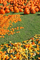 Greenville Pumpkins 0902