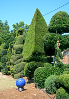 Pearl Fryar's Garden